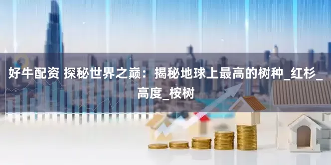 好牛配资 探秘世界之巅：揭秘地球上最高的树种_红杉_高度_桉树