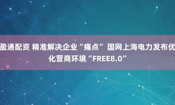 盈通配资 精准解决企业“痛点” 国网上海电力发布优化营商环境“FREE8.0”